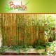Vivero el bambu en villa Pueyrredon